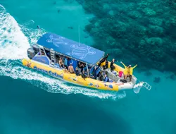 Ocean Safari Tour